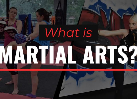 What is martial arts? What is martial arts?